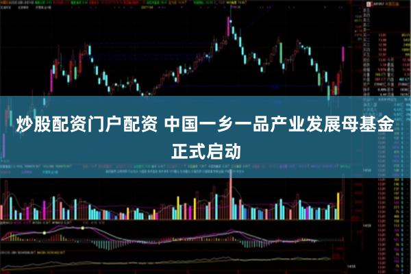 炒股配资门户配资 中国一乡一品产业发展母基金正式启动