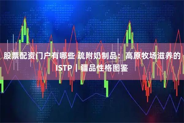 股票配资门户有哪些 疏附奶制品：高原牧场滋养的ISTP｜疆品性格图鉴