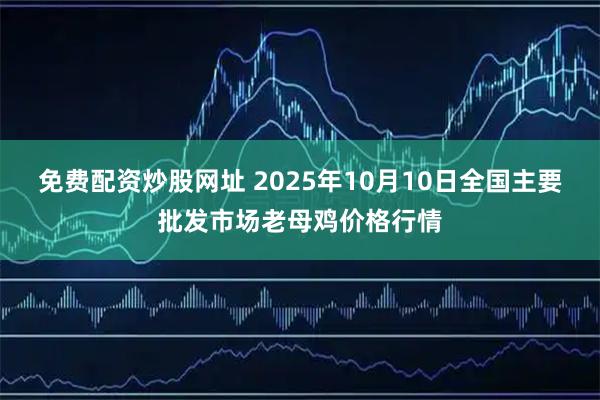 免费配资炒股网址 2025年10月10日全国主要批发市场老母鸡价格行情