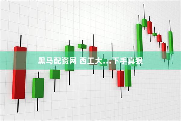 黑马配资网 西工大…下手真狠